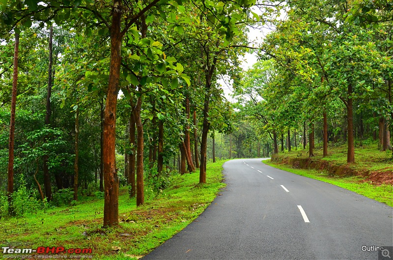 A Date with Monsoon at Wayanad-15ram_5031.jpg