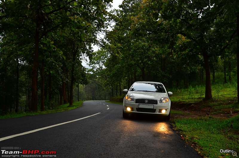 A Date with Monsoon at Wayanad-17ram_5033.jpg