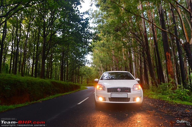 A Date with Monsoon at Wayanad-04ram_5069.jpg