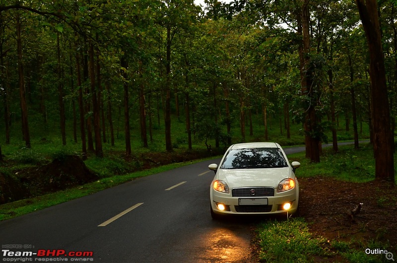 A Date with Monsoon at Wayanad-17ram_5136.jpg