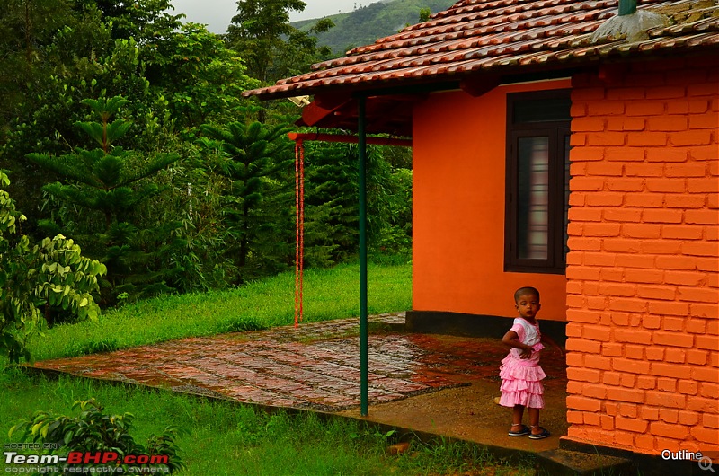 A Date with Monsoon at Wayanad-20ram_5158.jpg