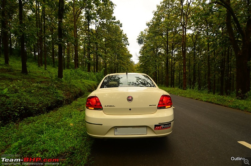 A Date with Monsoon at Wayanad-1ram_5078.jpg