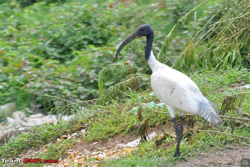 We ran out of road!-dsc_5333.jpg