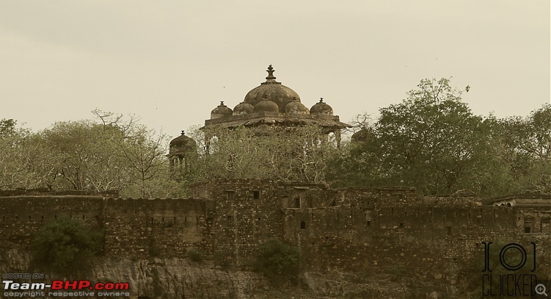 Ranthambhore National Park - Tigers and More!-img_7385.jpg