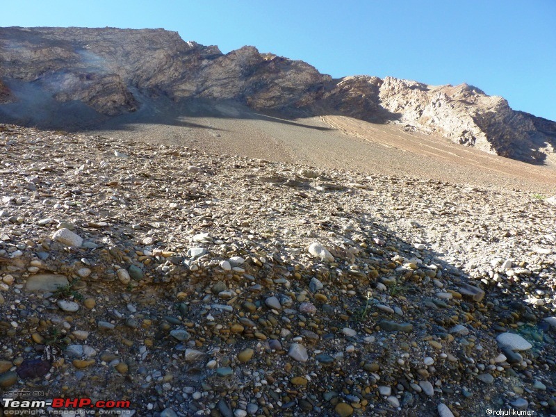 Escape to Pangong Tso-p1000482.jpg