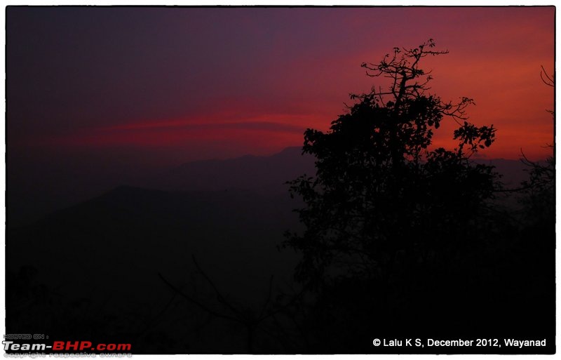 Civved : Wayanad-dsc_9031.jpg