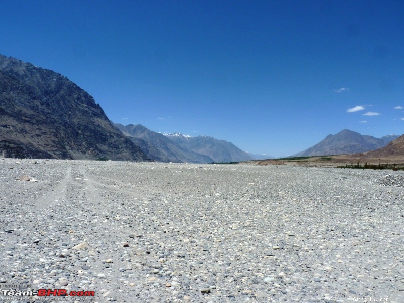 Escape to Pangong Tso-p1000543.jpg