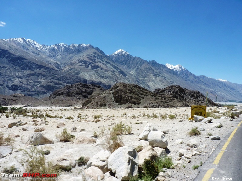 Escape to Pangong Tso-p1000548.jpg