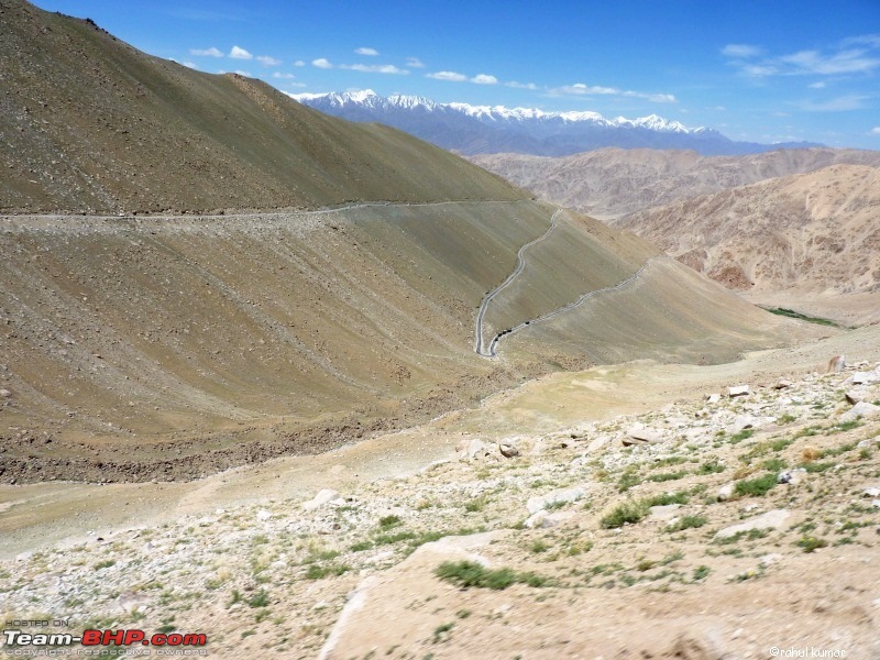 Escape to Pangong Tso-p1000589.jpg