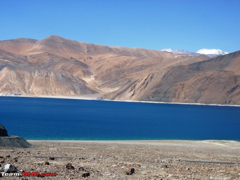 Escape to Pangong Tso-p1000826.jpg