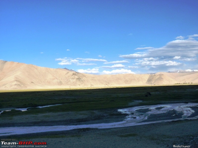 Escape to Pangong Tso-p1000869.jpg