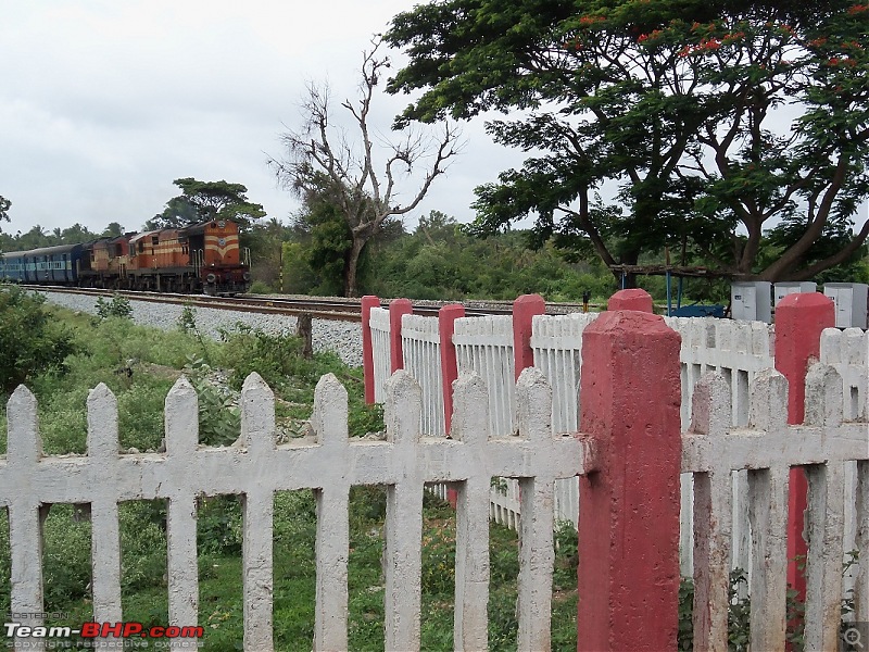 Monsoon in Malnad-100_3629.jpg