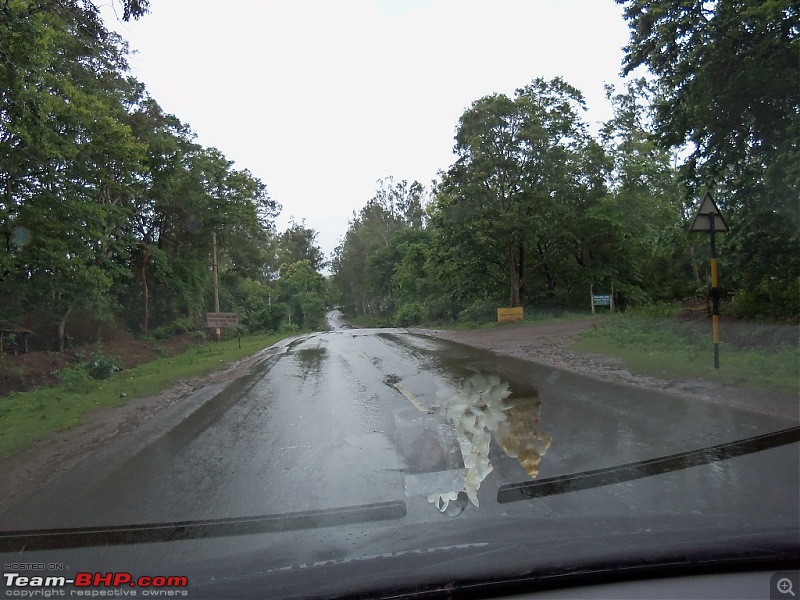 Monsoon in Malnad-100_3639.jpg