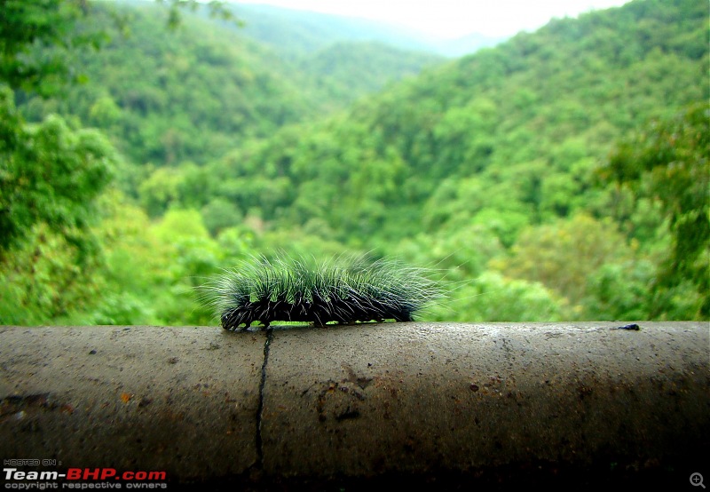 Monsoon Break 2013Hills, waterfalls and temples (Redux) : Mumbai to Karnataka-enroute-sathodi-6.jpg