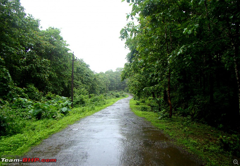 Monsoon Break 2013Hills, waterfalls and temples (Redux) : Mumbai to Karnataka-enroute-sathodi-11.jpg