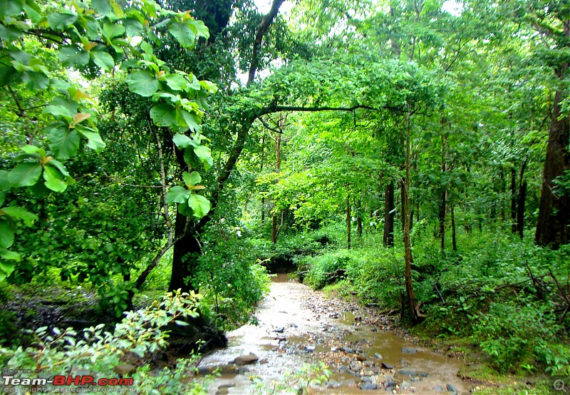 Monsoon Break 2013Hills, waterfalls and temples (Redux) : Mumbai to Karnataka-enroute-sathodi-14.jpg