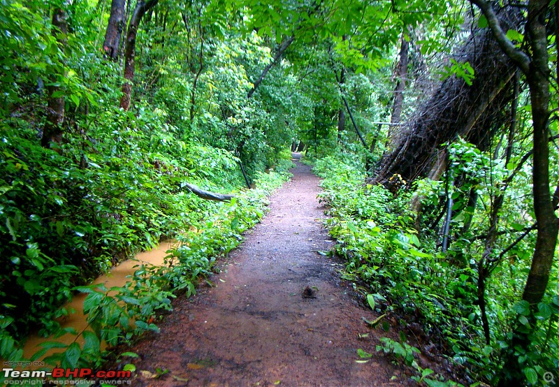 Monsoon Break 2013Hills, waterfalls and temples (Redux) : Mumbai to Karnataka-sathodi-pathway-3.jpg