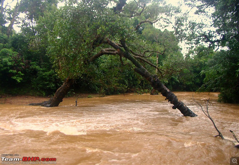 Monsoon Break 2013Hills, waterfalls and temples (Redux) : Mumbai to Karnataka-bakula-homestay-river-1.jpg