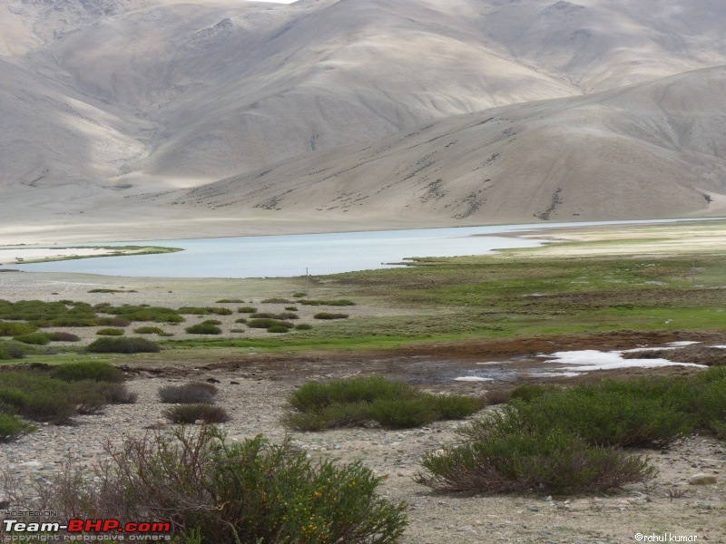 Escape to Pangong Tso-p1000893.jpg