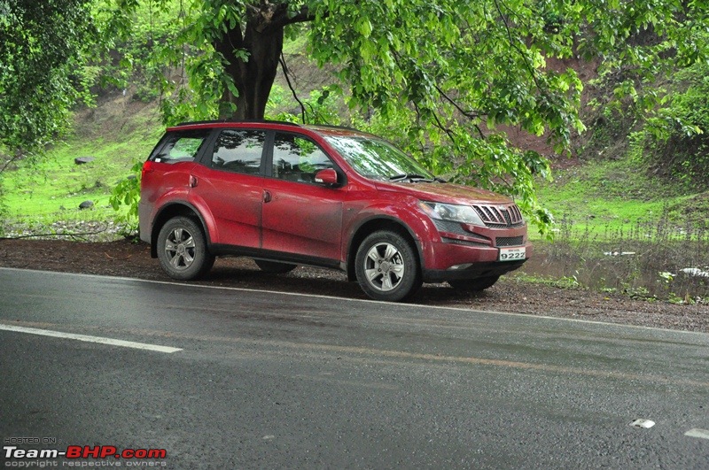 Monsoon 2013: Freshness reloaded (Ratnagiri, Dabhosa-Jawhar, Shilonda, etc)-007-dsc_0561.jpg