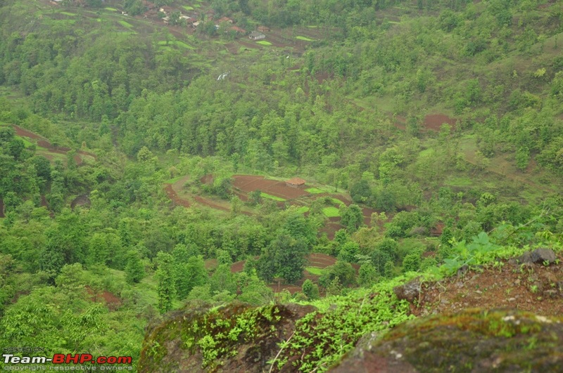 Monsoon 2013: Freshness reloaded (Ratnagiri, Dabhosa-Jawhar, Shilonda, etc)-026-dsc_0625.jpg