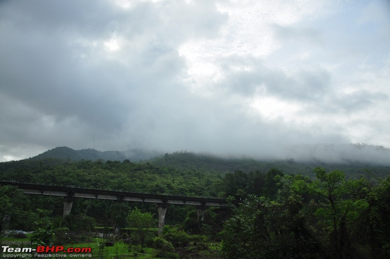 Monsoon 2013: Freshness reloaded (Ratnagiri, Dabhosa-Jawhar, Shilonda, etc)-036-dsc_0660.jpg