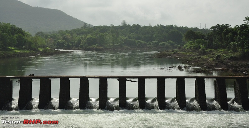 Monsoon 2013: Freshness reloaded (Ratnagiri, Dabhosa-Jawhar, Shilonda, etc)-040-dsc_0677.jpg