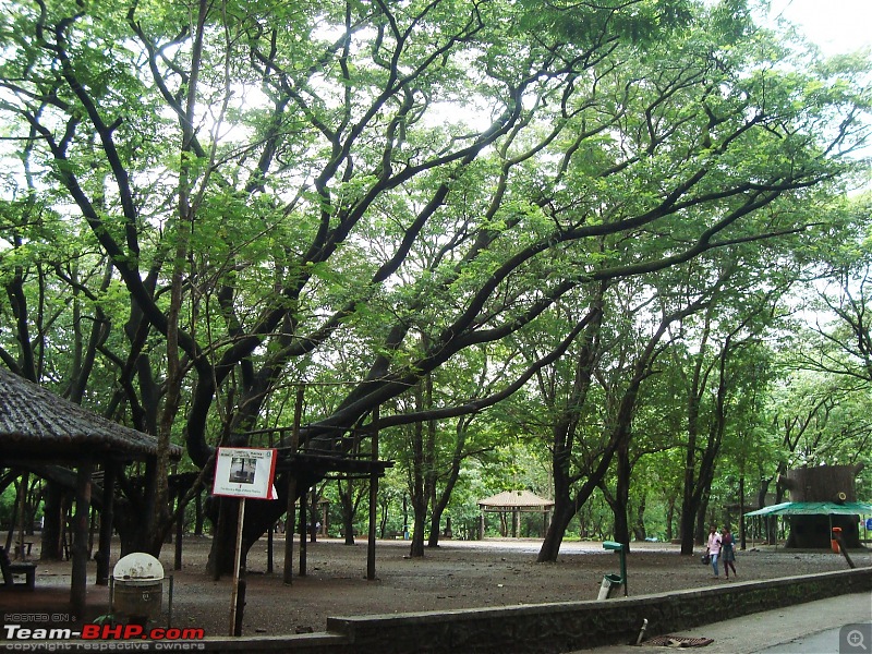 Shilonda Trail (Nature Walk) @ Sanjay Gandhi National Park, Borivali-dsc03948.jpg