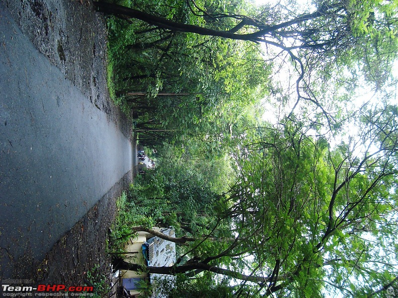 Shilonda Trail (Nature Walk) @ Sanjay Gandhi National Park, Borivali-dsc03961.jpg