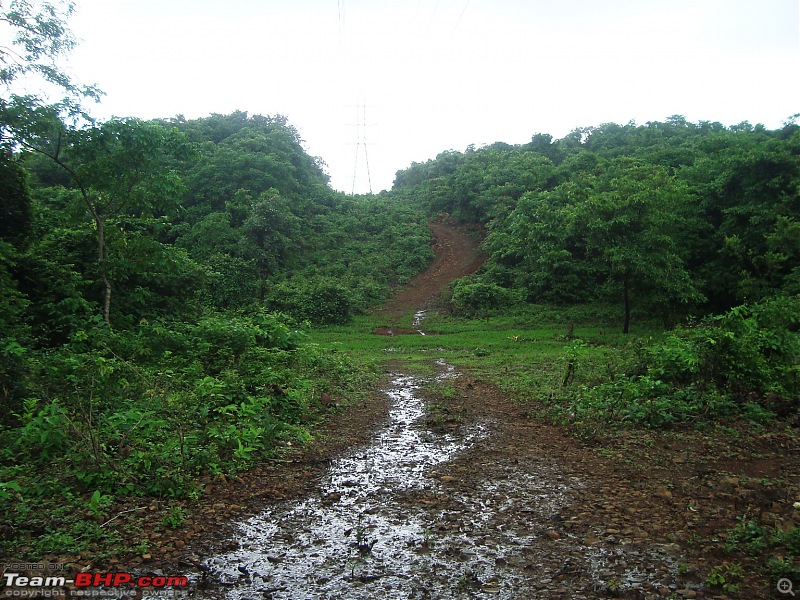 Shilonda Trail (Nature Walk) @ Sanjay Gandhi National Park, Borivali-dsc04001.jpg