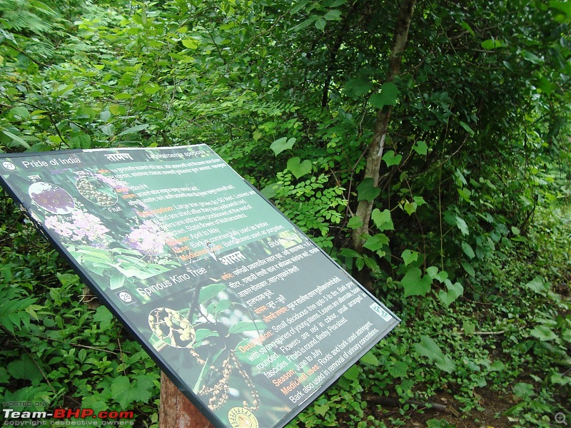 Shilonda Trail (Nature Walk) @ Sanjay Gandhi National Park, Borivali-dsc04026.jpg