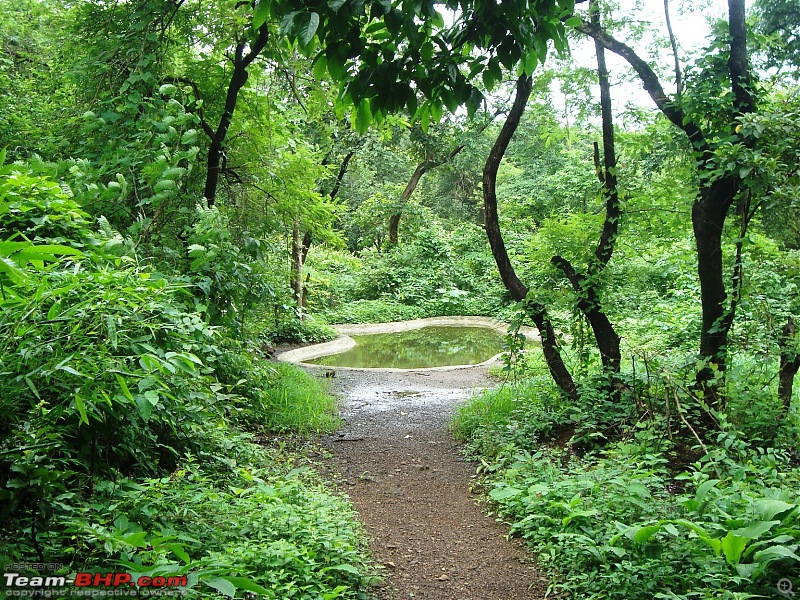 Shilonda Trail (Nature Walk) @ Sanjay Gandhi National Park, Borivali-dsc04031.jpg