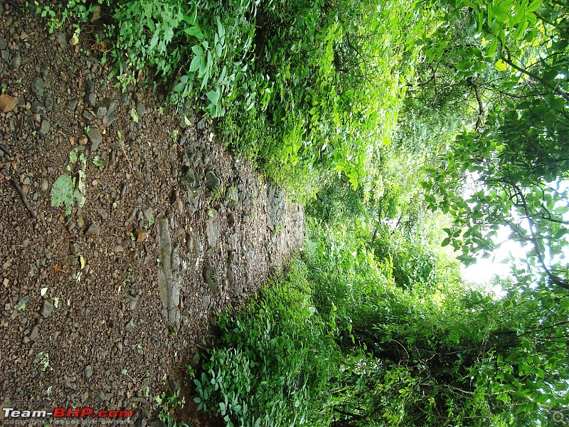 Shilonda Trail (Nature Walk) @ Sanjay Gandhi National Park, Borivali-dsc04033.jpg