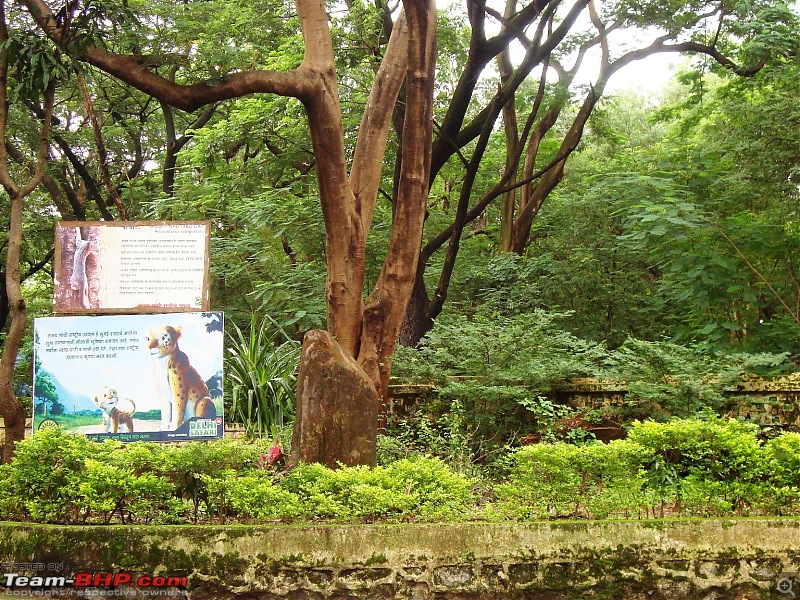 Shilonda Trail (Nature Walk) @ Sanjay Gandhi National Park, Borivali-dsc04071.jpg