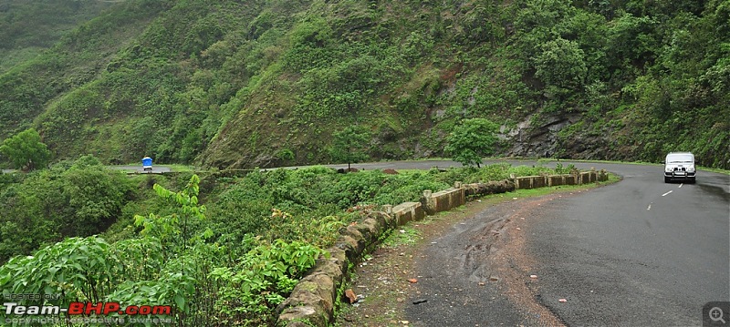 Monsoon 2013: Freshness reloaded (Ratnagiri, Dabhosa-Jawhar, Shilonda, etc)-175-dsc_1121.jpg