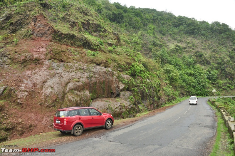 Monsoon 2013: Freshness reloaded (Ratnagiri, Dabhosa-Jawhar, Shilonda, etc)-178-dsc_1116.jpg