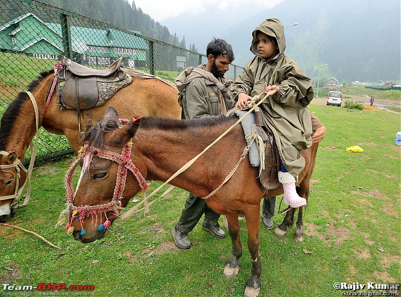 Kashmir - Heaven, where you live to experience it-kashmir-142.jpg