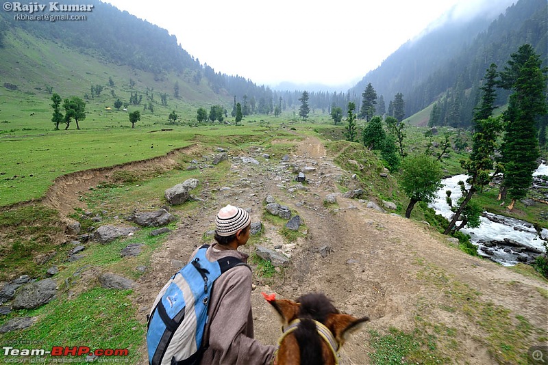 Kashmir - Heaven, where you live to experience it-kashmir-143.jpg