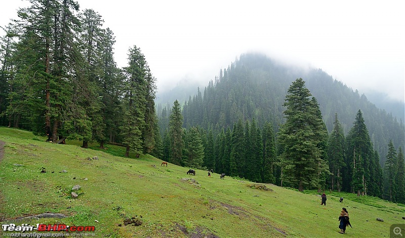 Kashmir - Heaven, where you live to experience it-kashmir-145.jpg