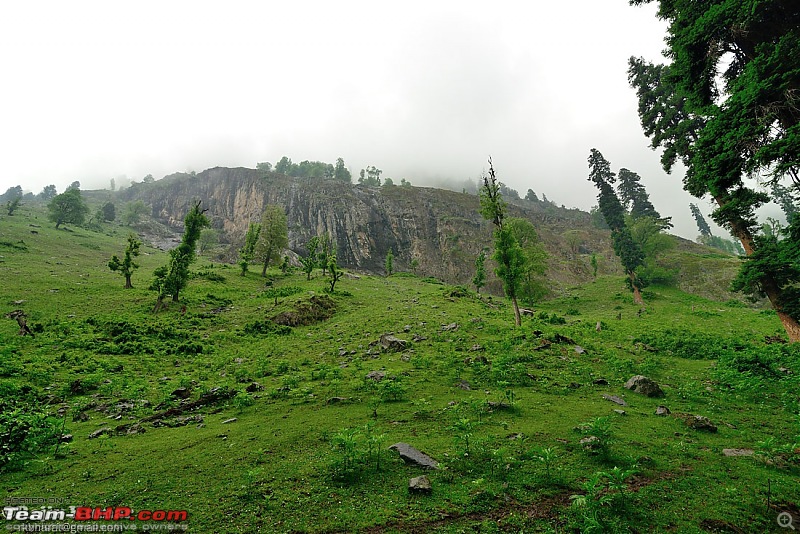 Kashmir - Heaven, where you live to experience it-kashmir-146.jpg