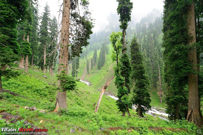 Kashmir - Heaven, where you live to experience it-kashmir-147.jpg