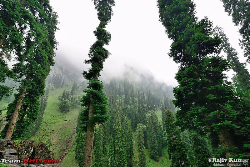 Kashmir - Heaven, where you live to experience it-kashmir-148.jpg