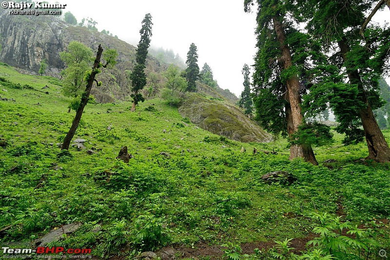 Kashmir - Heaven, where you live to experience it-kashmir-149.jpg