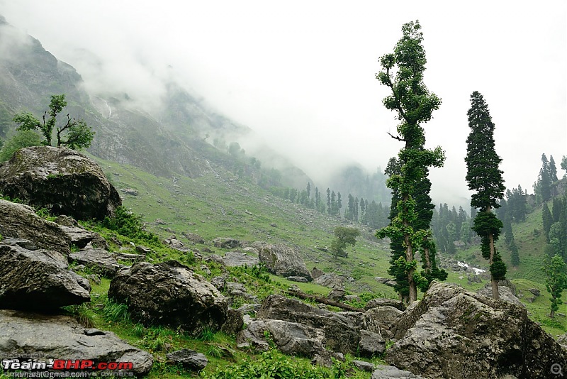 Kashmir - Heaven, where you live to experience it-kashmir-151.jpg