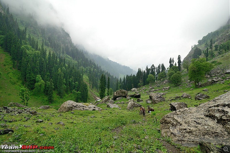 Kashmir - Heaven, where you live to experience it-kashmir-154.jpg