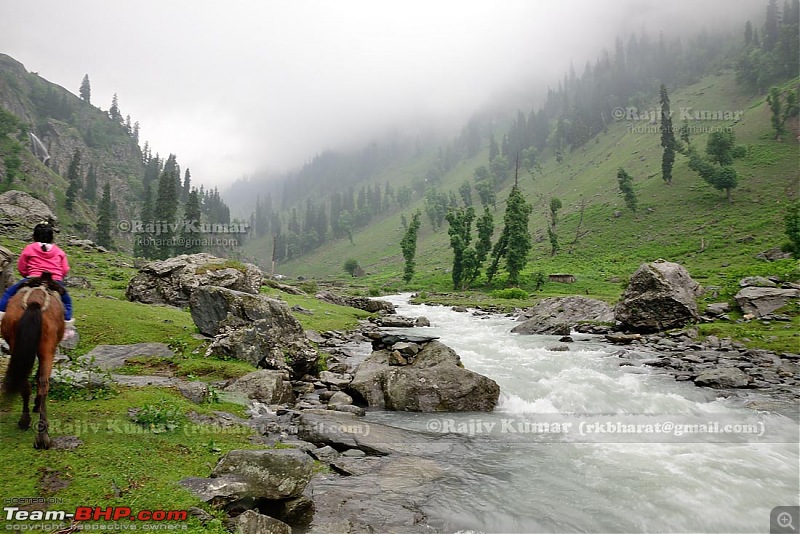 Kashmir - Heaven, where you live to experience it-kashmir-165.jpg