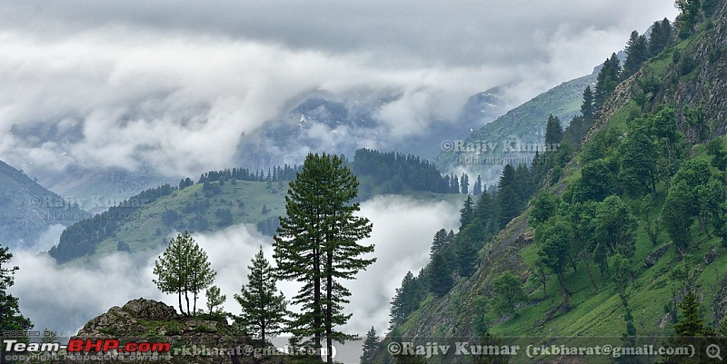 Kashmir - Heaven, where you live to experience it-kashmir-177.jpg
