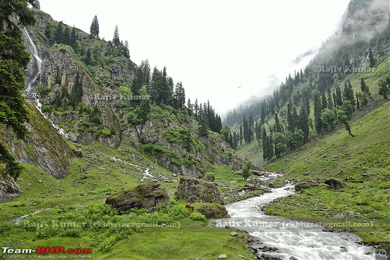 Kashmir - Heaven, where you live to experience it-kashmir-180.jpg