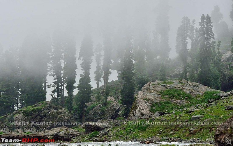 Kashmir - Heaven, where you live to experience it-kashmir-188.jpg