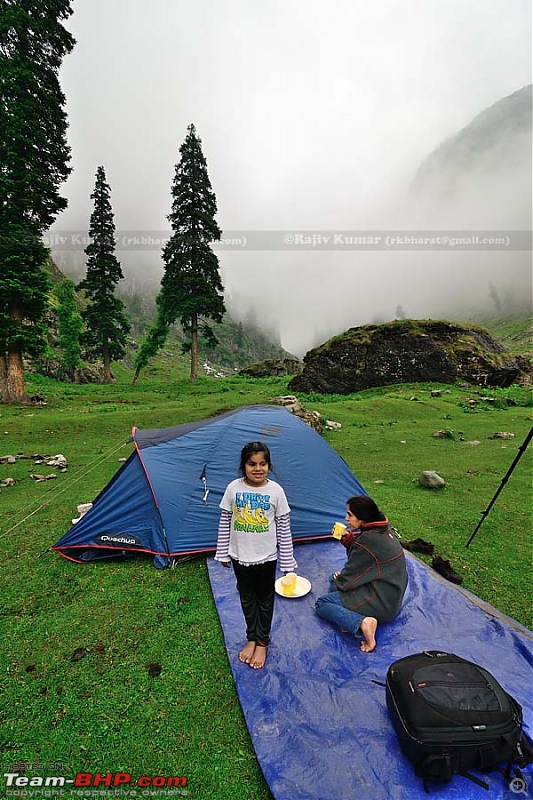Kashmir - Heaven, where you live to experience it-kashmir-189.jpg